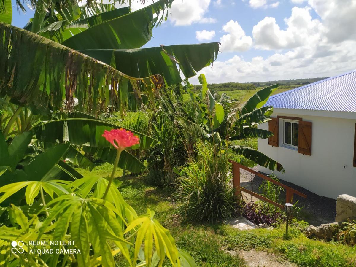 Villa KAZ A KLEMENCE Anse-Bertrand Exterior foto