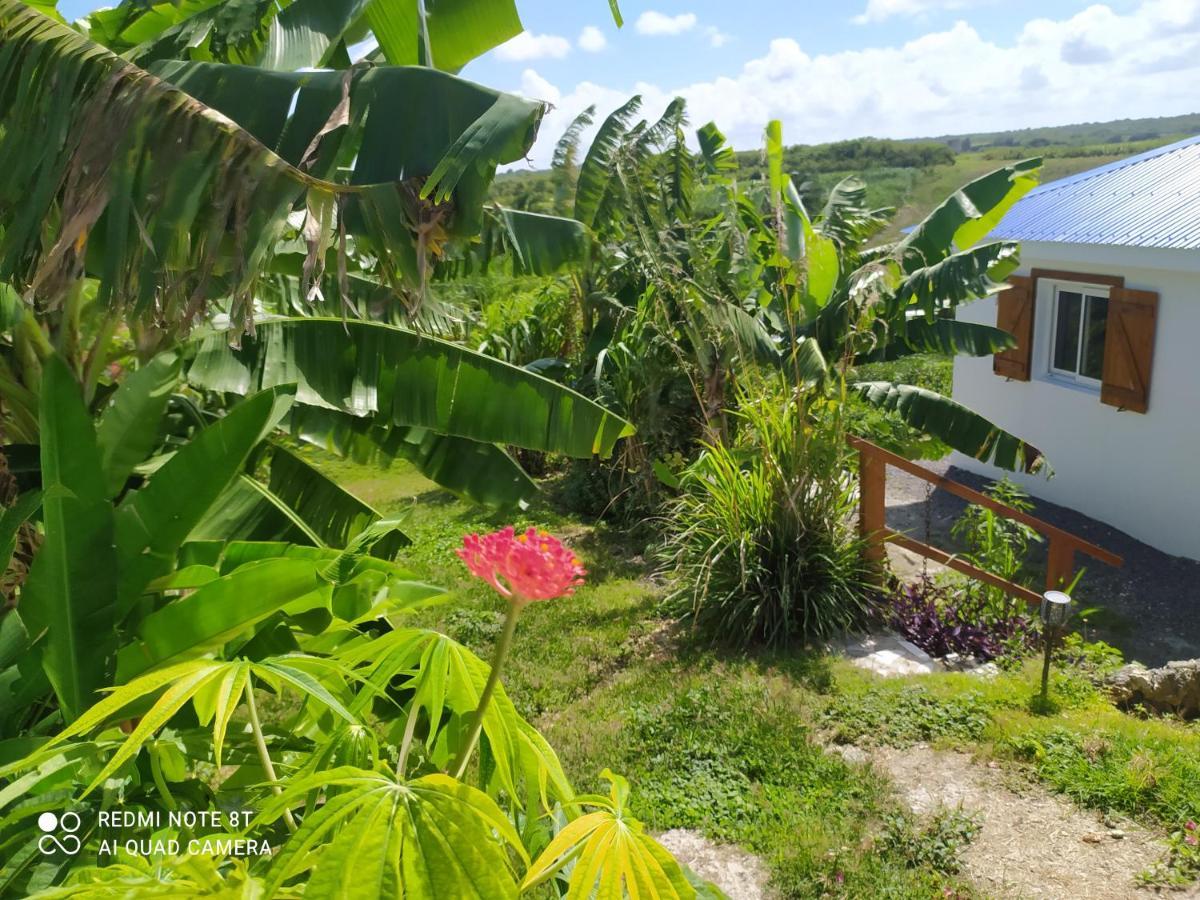 Villa KAZ A KLEMENCE Anse-Bertrand Exterior foto