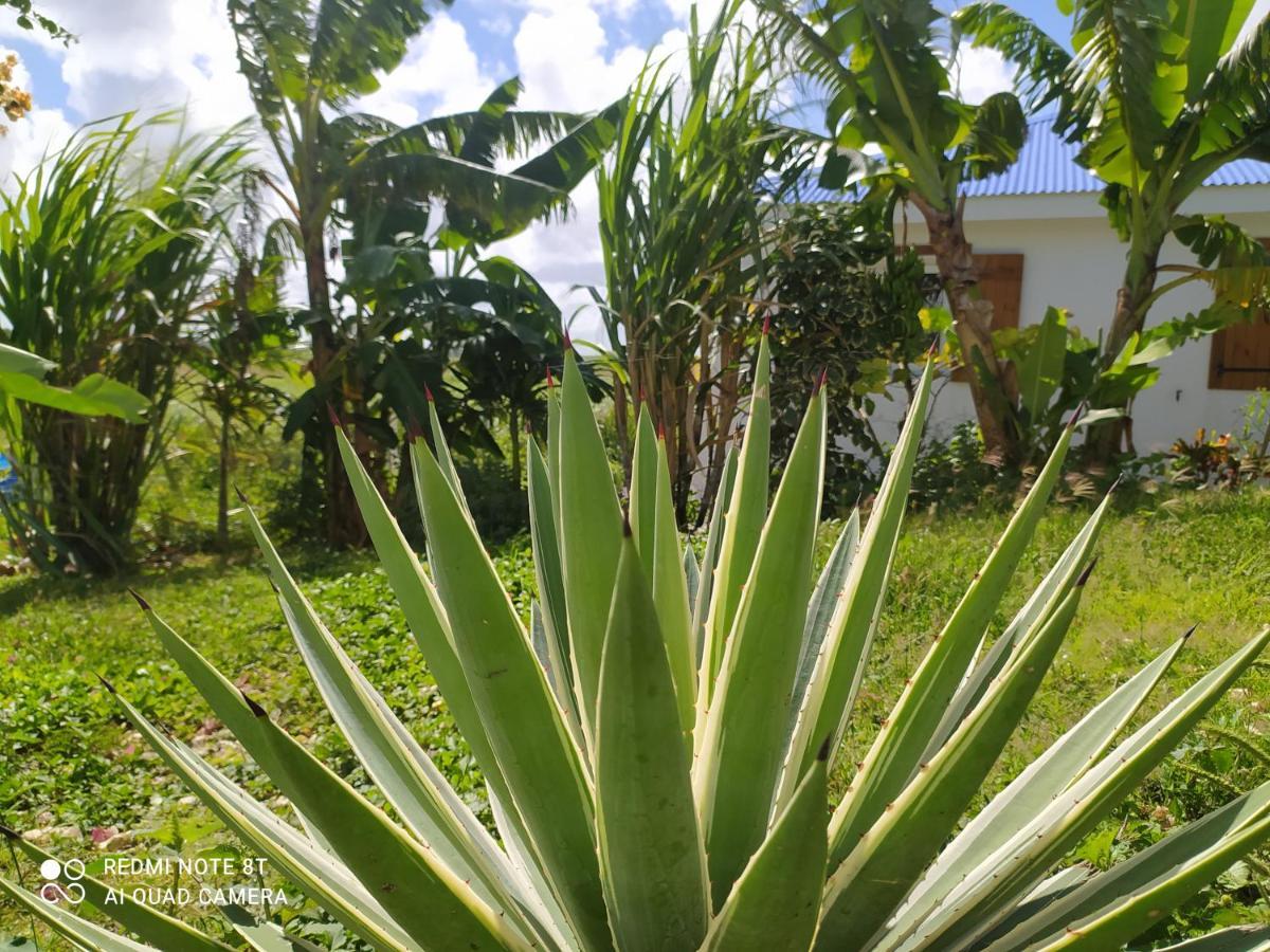 Villa KAZ A KLEMENCE Anse-Bertrand Exterior foto