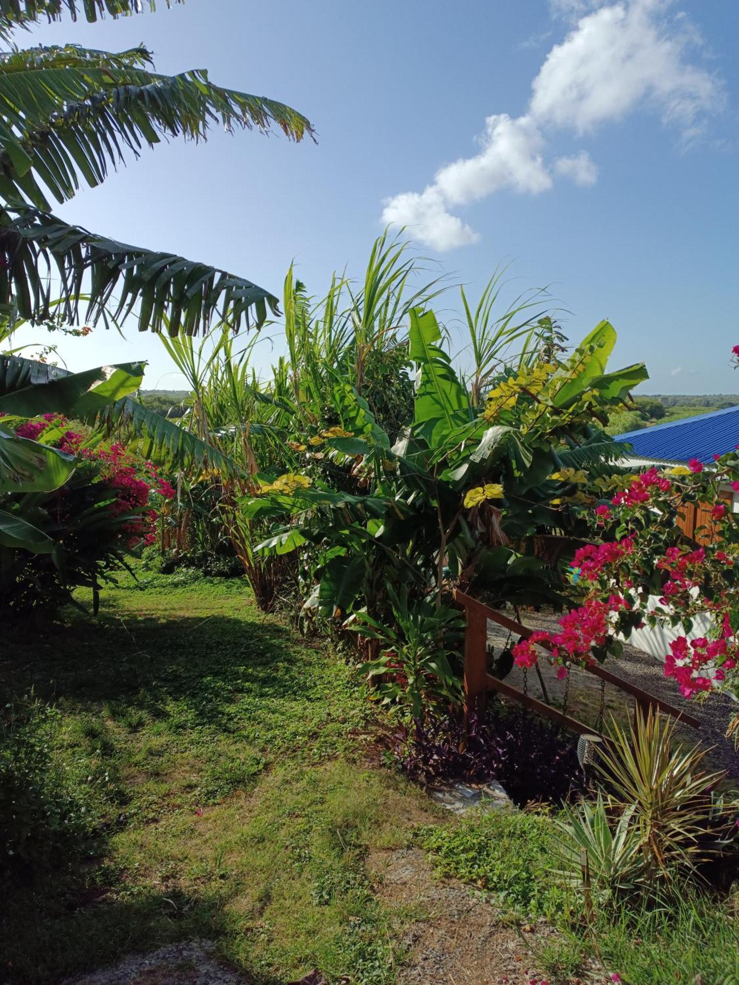 Villa KAZ A KLEMENCE Anse-Bertrand Exterior foto